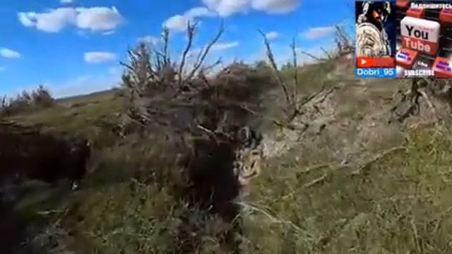 Клубок Это Гнездо Змей?Кучками Змей. Первые вижу такого. Мир животных смотреть онлайн