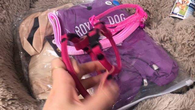 ПОКУПКИ ДЛЯ ЩЕНКА ЙОРКА| ЧТО НУЖНО КУПИТЬ ЩЕНКУ? Йоркширские терьеры ❤️ смотреть онлайн