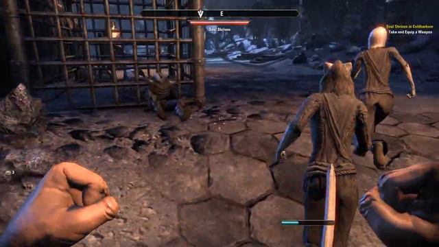 Elder Scrolls Online | Imperial Dragonknight | Playthrough w/ Ardy - Part 1: Faulty Sprint смотреть онлайн