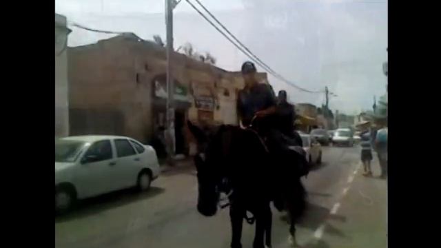 Конная полиция в Ашкелоне смотреть онлайн