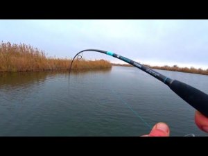 Я ТАК НИ РАЗУ НЕ ДЕЛАЛ! ВОТ ЭТО КАЙФ!ОТКРЫЛ ДЛЯ СЕБЯ НОВЫЙ  ВИД РЫБАЛКИ