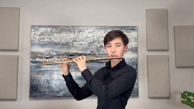 Haolin Christopher Li - Concerto No. 1 in G Major, K. 313 | 2024 Classical Music Competition смотреть онлайн