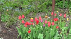 Весна на даче.