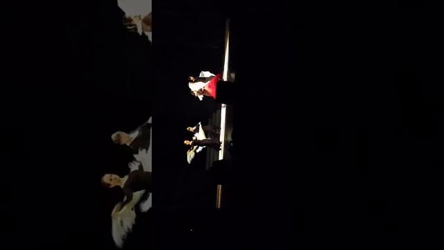Канья Триана смотреть онлайн