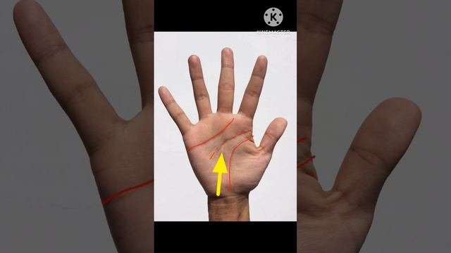 mind line palmistry in hindi #palmistry #shorts #mindlinepalmistry #shortsvideo #shortsfeed смотреть онлайн