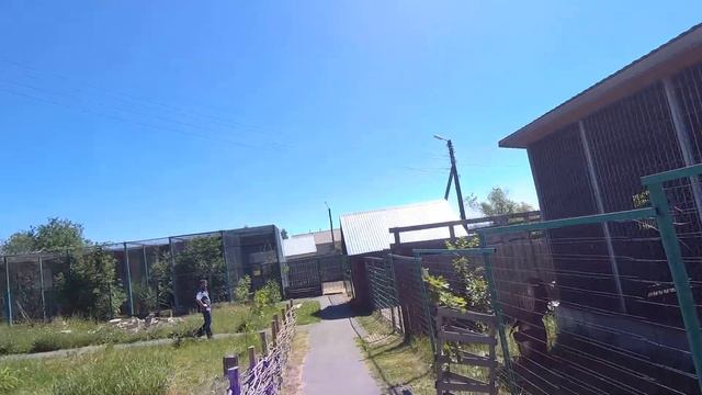 Летний отдых в Хвалынске. День 2 смотреть онлайн