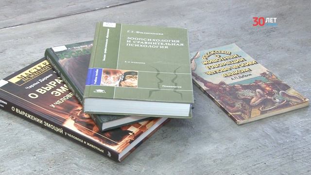 В Волгоградской областной библиотеке для молодежи приняли на работу кошку смотреть онлайн