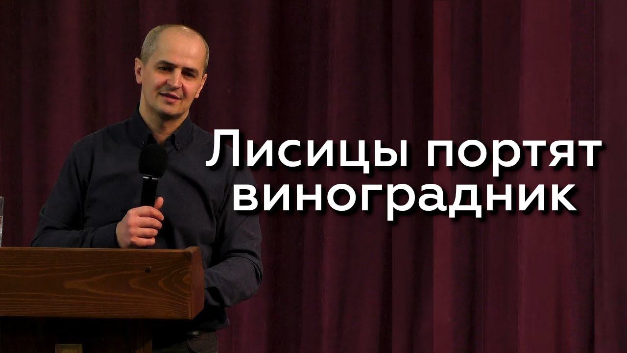 Лисицы портят виноградник - Евгений Упоров 03.04.24 смотреть онлайн