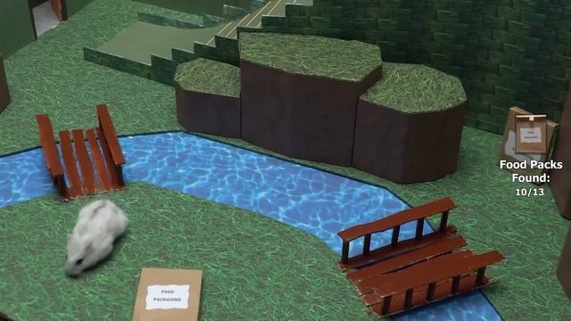 Hamster Adventures In Monster Maze With Traps - The Impossible Hamster Challenges смотреть онлайн