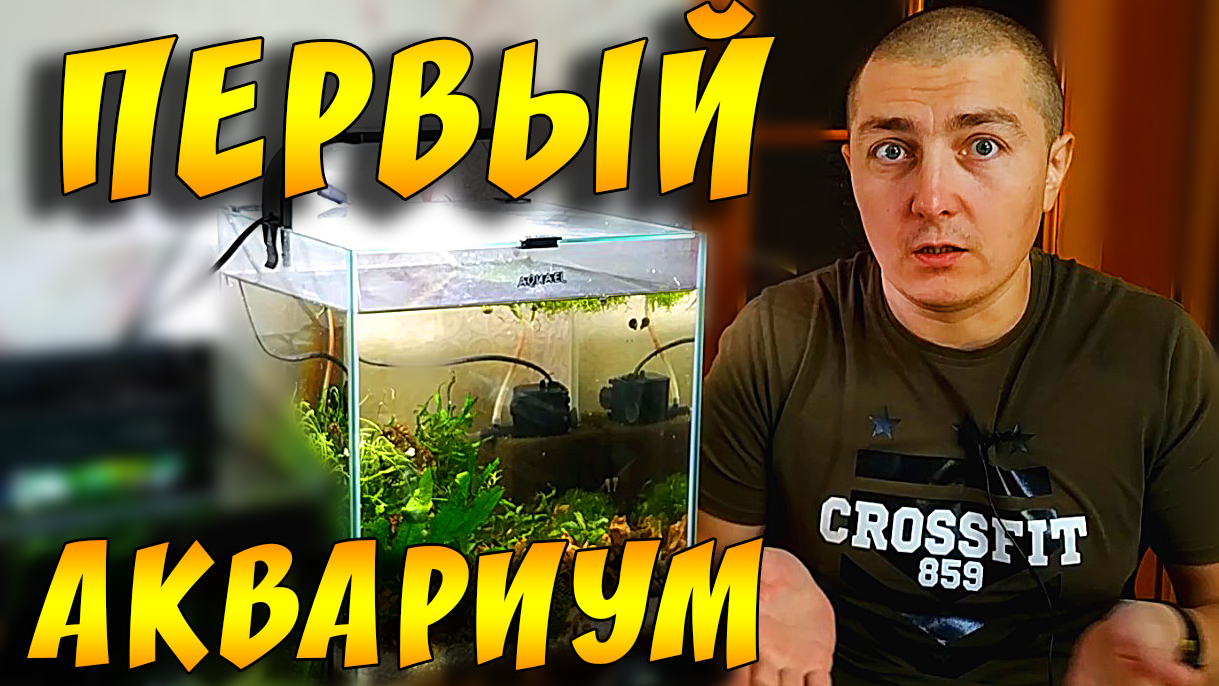 Для Новичков! Первый аквариум! смотреть онлайн