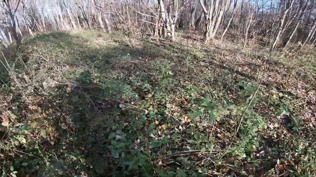 Один день из жизни РОса на охоте)))!! смотреть онлайн
