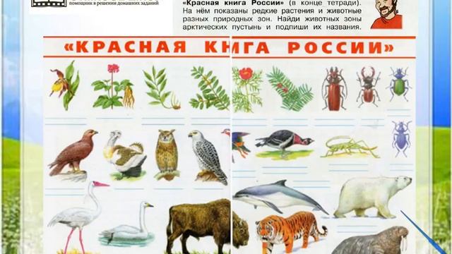 Задание 5 Зона арктических пустынь - Окружающий мир 4 класс (Плешаков А.А.) 1 часть смотреть онлайн