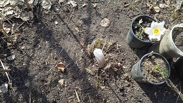 ВСЕ О ПРОСТРЕЛАХ!!