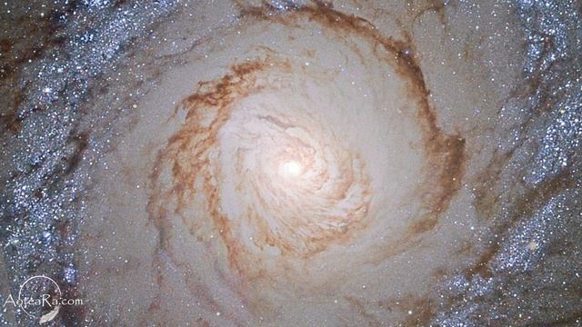 Сеанс 8. "Контакт с Ра. Учение Закона Одного" (перевод © 2023) смотреть онлайн