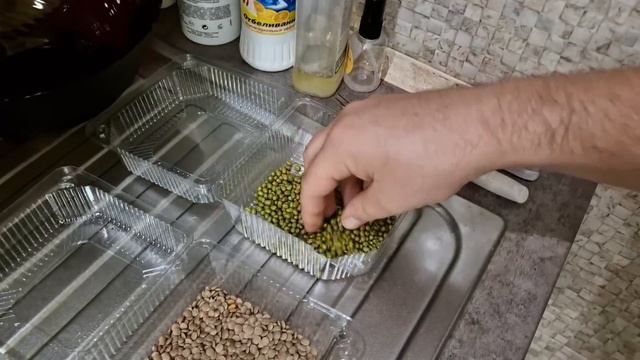 посеяли микрозелень, приготовили слойки! закрыли варенье и грибы смотреть онлайн