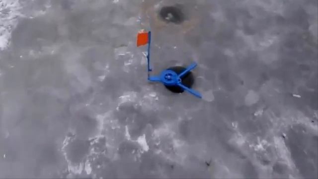 Это не ЩУКА на 25 кг, но тоже адреналин поднимает. смотреть онлайн