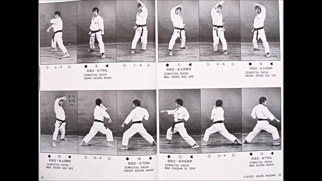 S.K.I.F.. - KATA 1. Heian Shodan (part One) Hirokazu Kanazawa