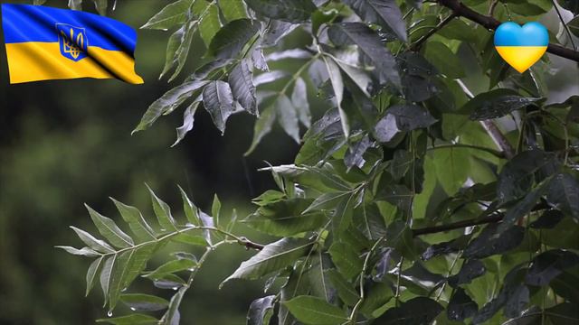 Дощі тривають: де сьогодні в Україні буде мокро смотреть онлайн