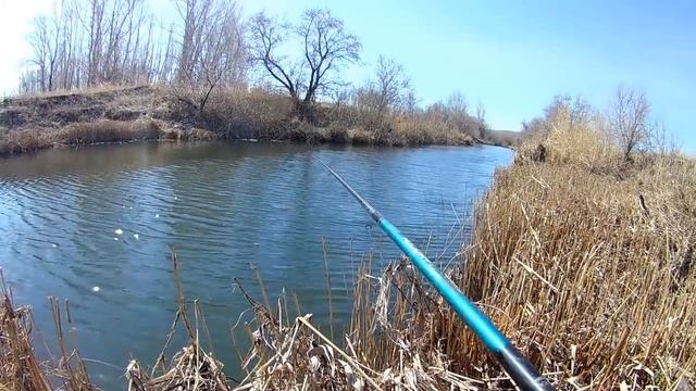 Весенняя ловля Ельца! смотреть онлайн