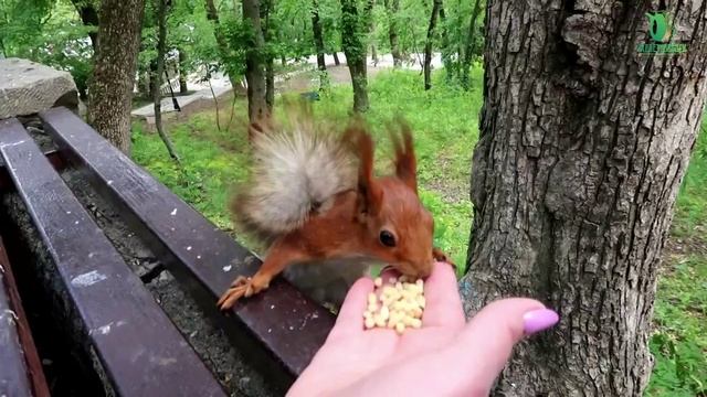 Весенний Железноводск