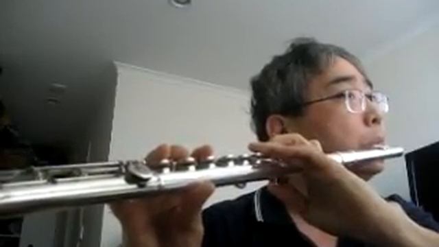 Beethoven Symphony No. 1 - 2nd movement - Flute by Won Shik Paik смотреть онлайн