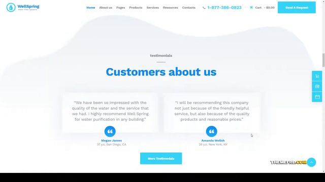 WellSpring Aqua Filters and Drinking Water Delivery WordPress Theme water filters woocommerce Rena смотреть онлайн