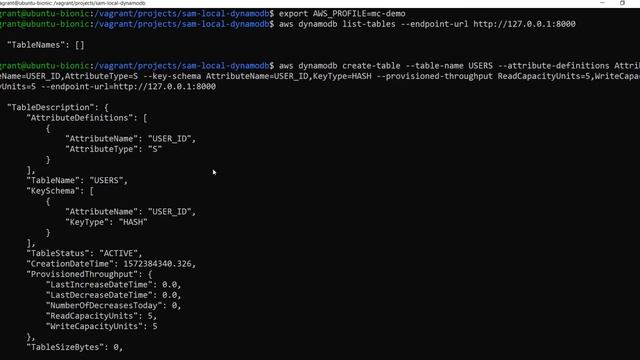 How to run DynamoDB locally with Docker | SAM Series #3 смотреть онлайн