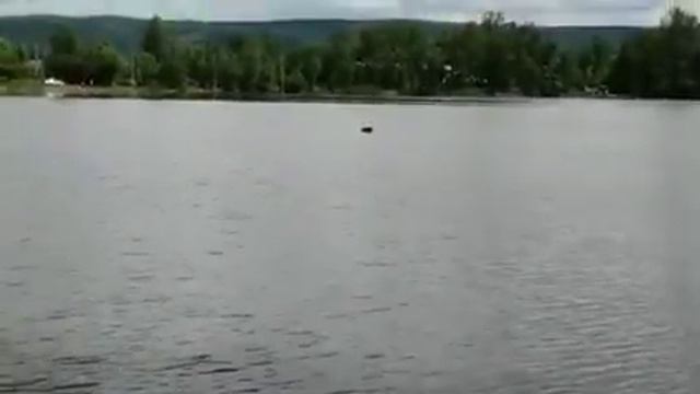 Рыбалка с корабликом fish boat смотреть онлайн
