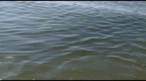 Белосарайская коса сегодня⛱ Большая прогулка🌅