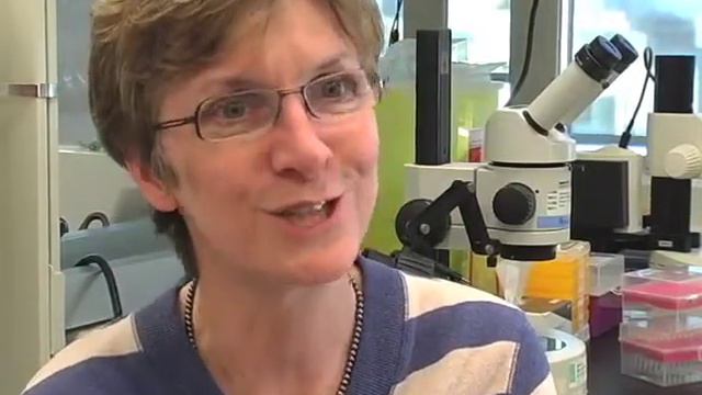 Janet Rossant All смотреть онлайн