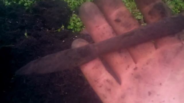 Серебро всегда радует коп, поиск монет в посадках, Garrett Euro ACE. смотреть онлайн