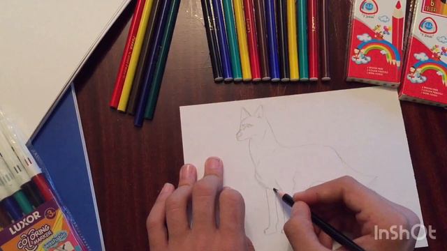 /How to draw dog/Как нарисовать собаку/Inchpes nkarel shun/ смотреть онлайн