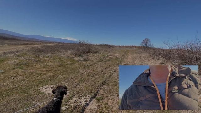 Первы два этапа при натаска легавая собака ! смотреть онлайн