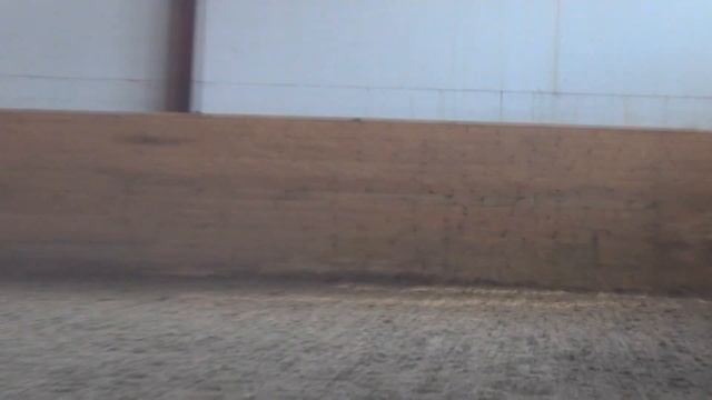 Екатерина Харченко на Дон Флористане 3 смотреть онлайн