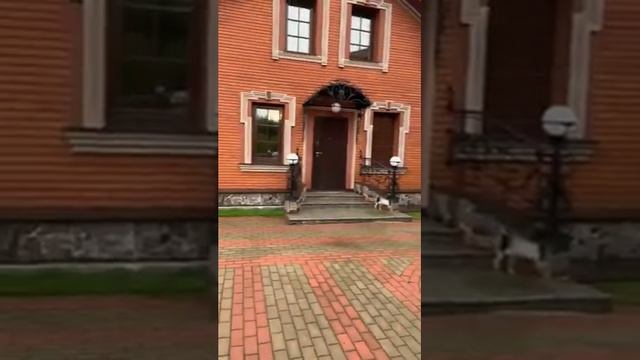Фен Шуй дома смотреть онлайн
