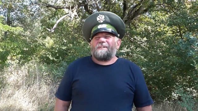 День работников леса смотреть онлайн