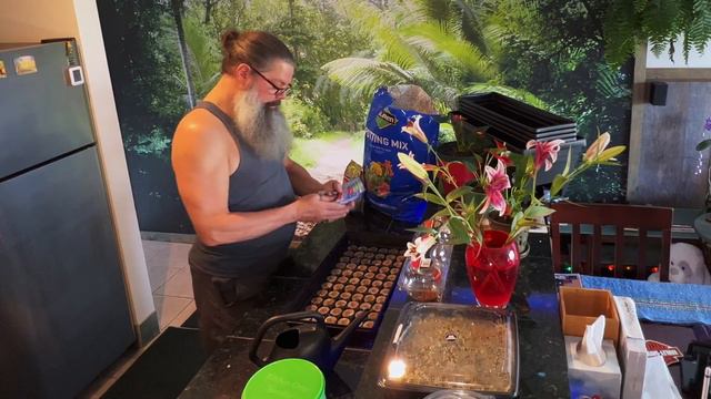 Letters to Mom January 8 2022 смотреть онлайн