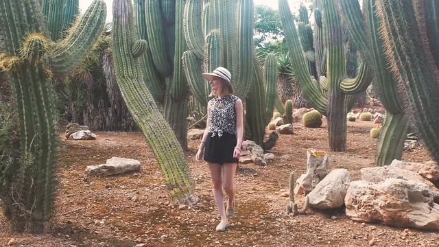 Ботаникактус на Майорке: гигантские кактусы | Botanicactus Mallorca смотреть онлайн