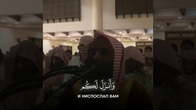 Коран||...Аллах лучше или те, кого вы приобщаете в сотоварищи?». {Сура Ан-Намль(Муравьи)} [27:59-60 смотреть онлайн