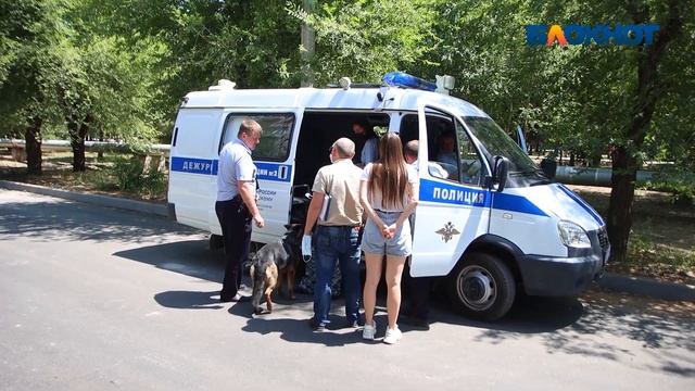 Расследование в Волжском смотреть онлайн