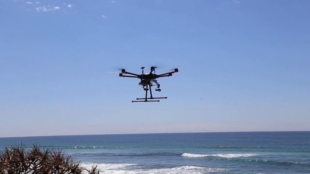 Jetson Tx2 Shark Detection drone takeoff смотреть онлайн