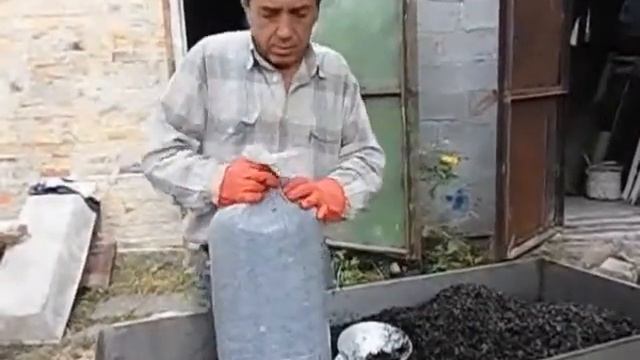 Вешенка в домашних условиях. Как я выращиваю на даче из различного сырья методом запаривания.