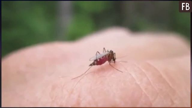 Секреты Творческой Гениальности