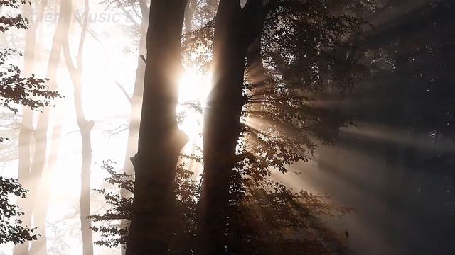 Hallelujah beautiful-relaxing music for PAN FLUTE and HARP by Ambien Music E смотреть онлайн