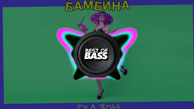 ГУДЗОН - Бамбина