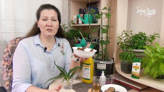 Строительные Модели