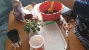 Горшки с #фитильным поливом для комнатных цветов своими руками.