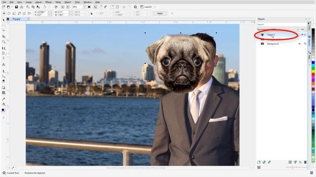 Photo Background Removal in PHOTO-PAINT (Windows) смотреть онлайн