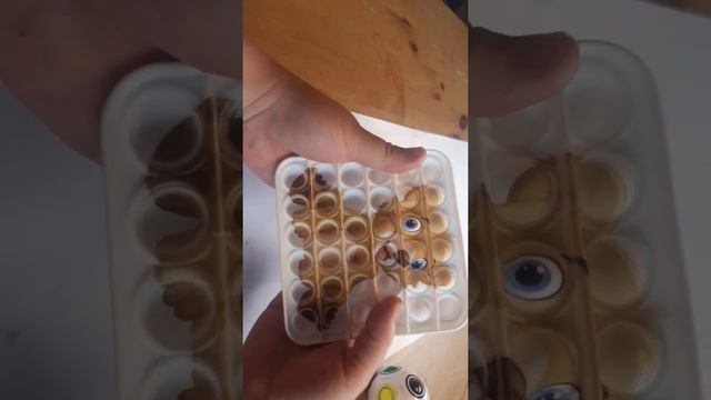 Super Cute Bear Cup Pop It Fidget Toy! смотреть онлайн