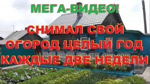 Весь год снимал видео своего огорода каждые две недели.
